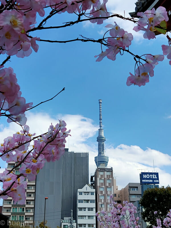 春は近い
